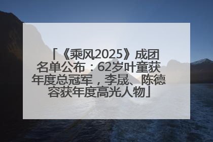 《乘风2025》成团名单公布：62岁叶童获年度总冠军，李晟、陈德容获年度高光人物