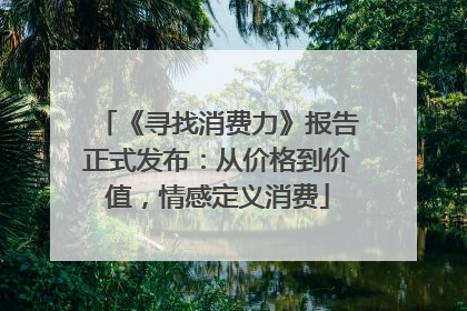 《寻找消费力》报告正式发布：从价格到价值，情感定义消费