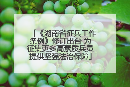 《湖南省征兵工作条例》修订出台 为征集更多高素质兵员提供坚强法治保障