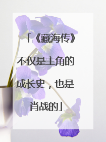 《藏海传》不仅是主角的成长史，也是肖战的