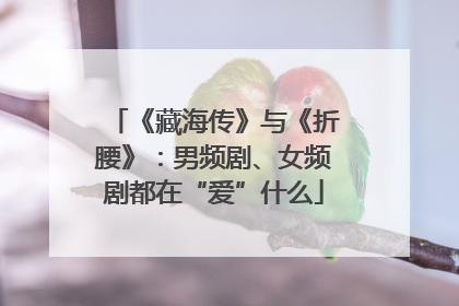 《藏海传》与《折腰》：男频剧、女频剧都在“爱”什么