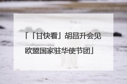 「甘快看」胡昌升会见欧盟国家驻华使节团