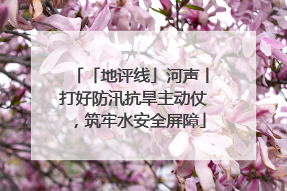 「地评线」河声丨打好防汛抗旱主动仗，筑牢水安全屏障