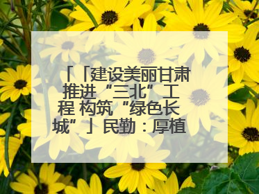「建设美丽甘肃 推进“三北”工程 构筑“绿色长城”」民勤：厚植生态底色 筑牢绿色屏障