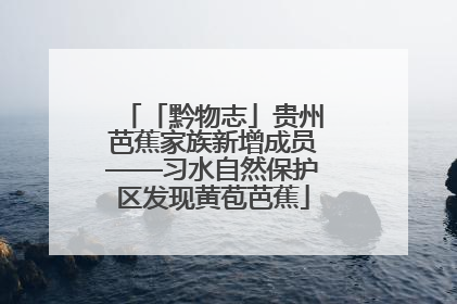 「黔物志」贵州芭蕉家族新增成员——习水自然保护区发现黄苞芭蕉
