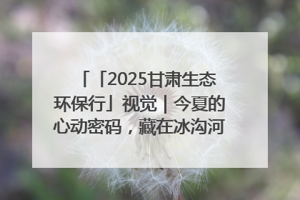 「2025甘肃生态环保行」视觉｜今夏的心动密码，藏在冰沟河的潋滟波光里