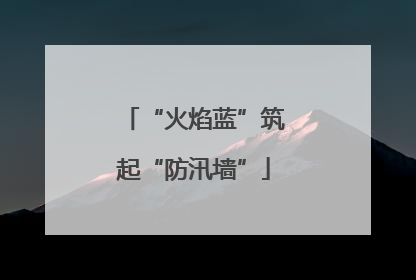 “火焰蓝”筑起“防汛墙”