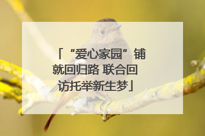 “爱心家园”铺就回归路 联合回访托举新生梦