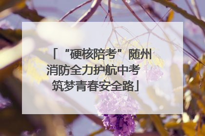 “硬核陪考”随州消防全力护航中考 筑梦青春安全路