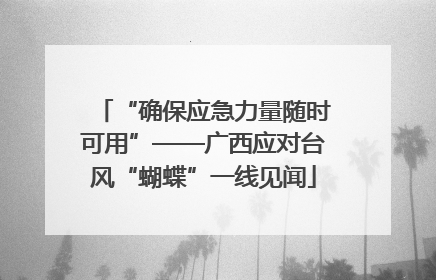“确保应急力量随时可用”——广西应对台风“蝴蝶”一线见闻