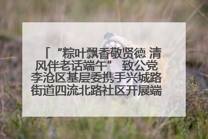 “粽叶飘香敬贤德 清风伴老话端午” 致公党李沧区基层委携手兴城路街道四流北路社区开展端午节主题活动