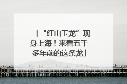 “红山玉龙”现身上海！来看五千多年前的这条龙