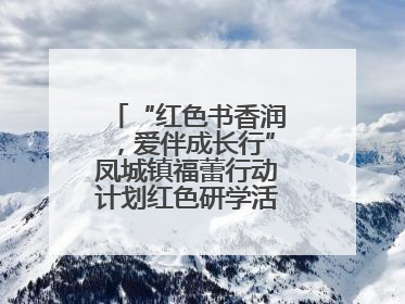 “红色书香润，爱伴成长行”凤城镇福蕾行动计划红色研学活动圆满结束