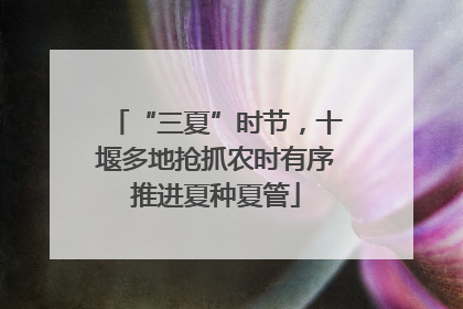 “三夏”时节，十堰多地抢抓农时有序推进夏种夏管