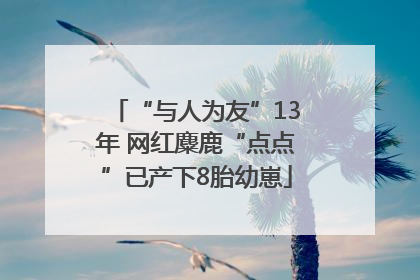 “与人为友”13年 网红麋鹿“点点”已产下8胎幼崽