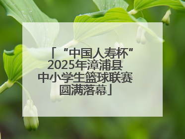 “中国人寿杯”2025年漳浦县中小学生篮球联赛圆满落幕