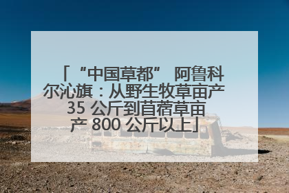 “中国草都” 阿鲁科尔沁旗：从野生牧草亩产 35 公斤到苜蓿草亩产 800 公斤以上