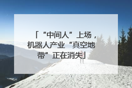 “中间人”上场，机器人产业“真空地带”正在消失