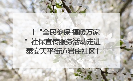 “全民参保·福暖万家”社保宣传服务活动走进泰安天平街道岩庄社区
