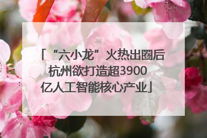 “六小龙”火热出圈后 杭州欲打造超3900亿人工智能核心产业