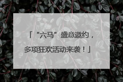 “六马”盛意邀约，多项狂欢活动来袭！