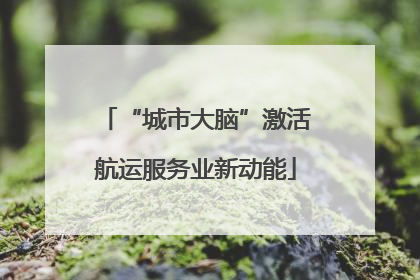“城市大脑”激活航运服务业新动能
