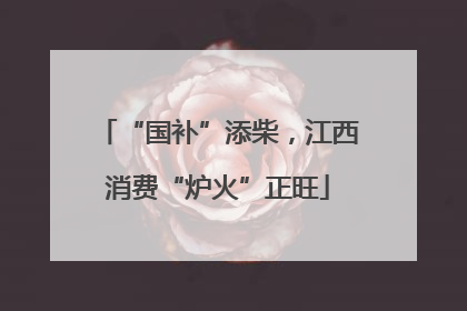 “国补”添柴，江西消费“炉火”正旺