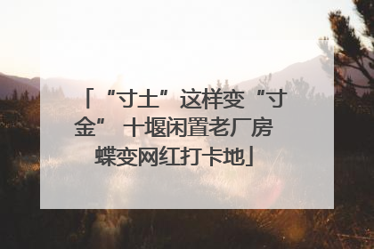 “寸土”这样变“寸金” 十堰闲置老厂房蝶变网红打卡地