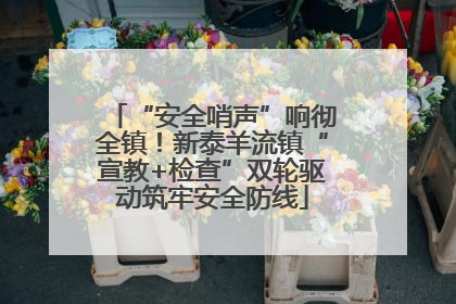 “安全哨声”响彻全镇！新泰羊流镇“宣教+检查”双轮驱动筑牢安全防线