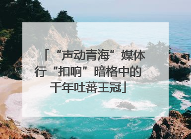 “声动青海”媒体行“扣响”暗格中的千年吐蕃王冠