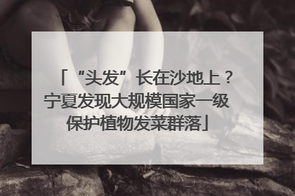 “头发”长在沙地上？宁夏发现大规模国家一级保护植物发菜群落
