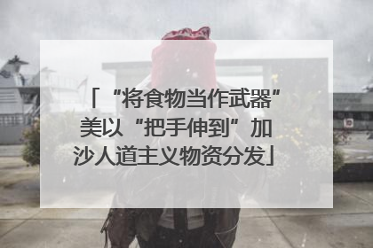 “将食物当作武器” 美以“把手伸到”加沙人道主义物资分发