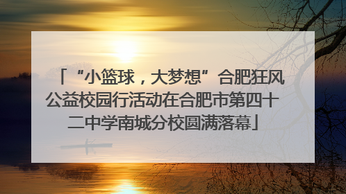 “小篮球，大梦想”合肥狂风公益校园行活动在合肥市第四十二中学南城分校圆满落幕
