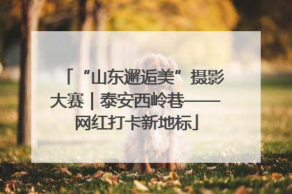 “山东邂逅美”摄影大赛｜泰安西岭巷——网红打卡新地标