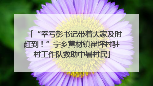 “幸亏彭书记带着大家及时赶到！”宁乡黄材镇崔坪村驻村工作队救助中暑村民
