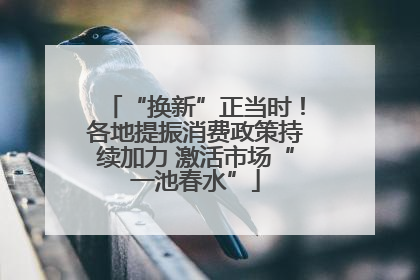 “换新”正当时！各地提振消费政策持续加力 激活市场“一池春水”