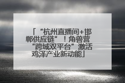 “杭州直播间+邯郸供应链”！角兽营“跨域双平台”激活鸡泽产业新动能