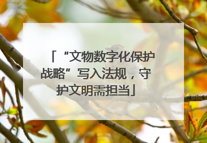 “文物数字化保护战略”写入法规，守护文明需担当