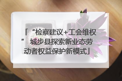 “检察建议+工会维权” 城步县探索新业态劳动者权益保护新模式