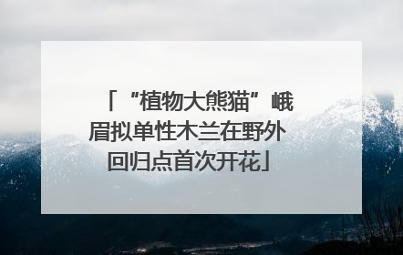 “植物大熊猫”峨眉拟单性木兰在野外回归点首次开花