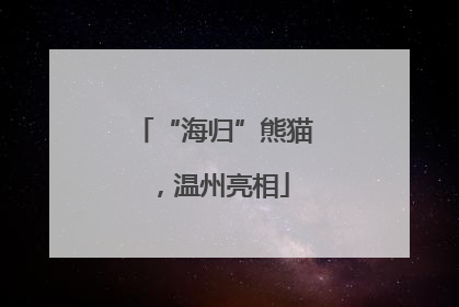 “海归”熊猫，温州亮相