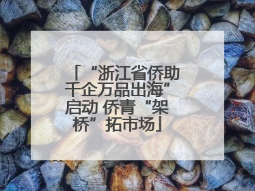 “浙江省侨助千企万品出海”启动 侨青“架桥”拓市场