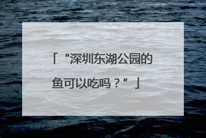 “深圳东湖公园的鱼可以吃吗？”