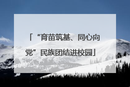 “育苗筑基、同心向党”民族团结进校园