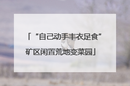 “自己动手丰衣足食”矿区闲置荒地变菜园