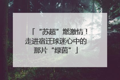 “苏超”燃激情！走进宿迁球迷心中的那片“绿茵”