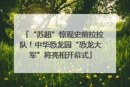 “苏超”惊现史前拉拉队！中华恐龙园“恐龙大军”将亮相开幕式