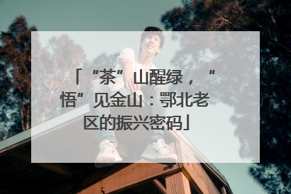 “茶”山醒绿，“悟”见金山：鄂北老区的振兴密码