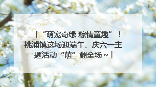 “萌宠奇缘 粽情童趣”！桃浦镇这场迎端午、庆六一主题活动“萌”翻全场～