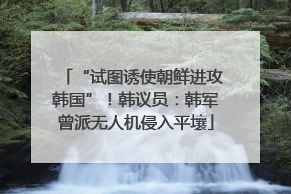 “试图诱使朝鲜进攻韩国”！韩议员：韩军曾派无人机侵入平壤